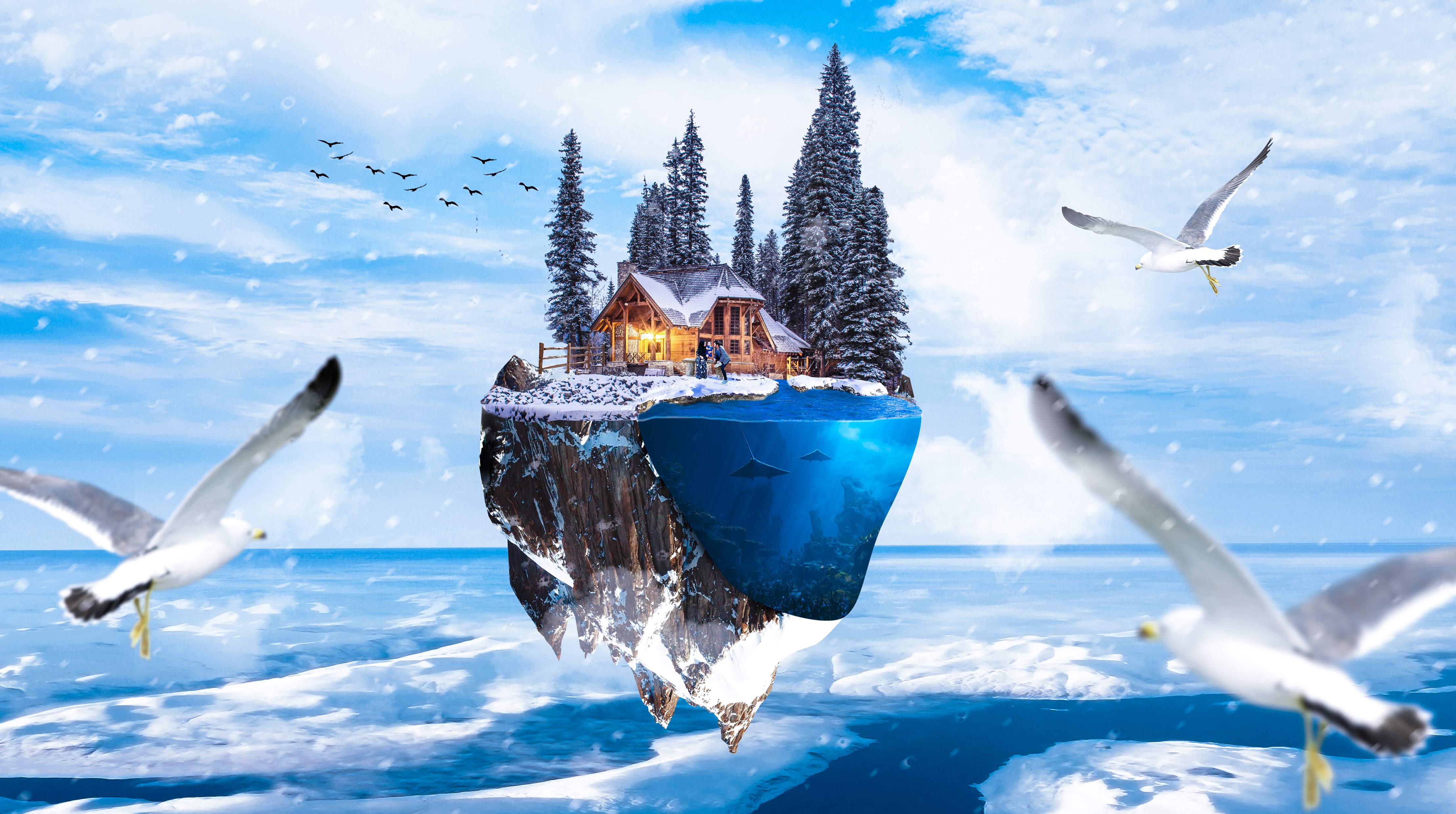 winter-photoshop-manipulation-seagull